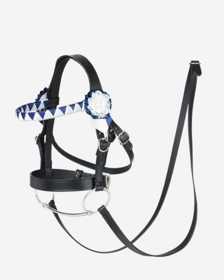 Le Mieux Hobby horse Showing  hoofdstel zwart 