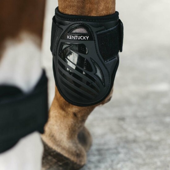 Kentucky kogelbeschermer Jonge paarden Zwart mt full