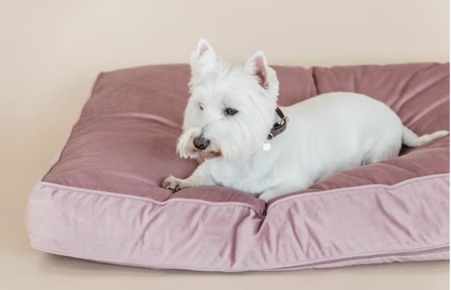 Kentucky honden bed velvet oud roze 