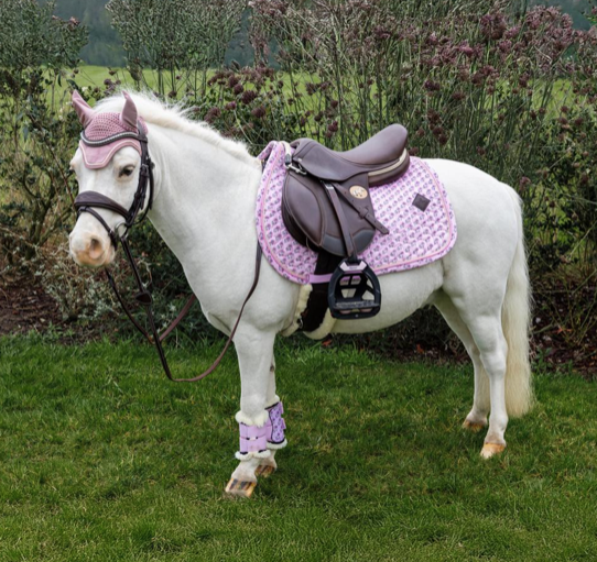 Kentucky Vegan bont Turnout beschermers Sammy Collection pony
