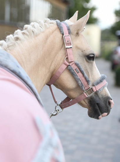 Equestrian Stockholm Halster Pink PONY