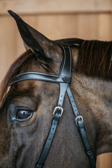 Dy&#039;on bitloos hoofdstel zwart 
