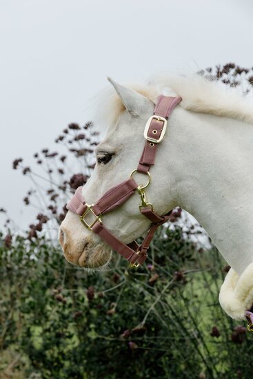  Kentucky Velvet halster Oud Roze SHETTY 