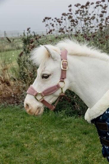  Kentucky Velvet halster Oud Roze SHETTY 