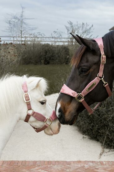  Kentucky Velvet halster EENHOORN Oud Roze MINI SHETTY 