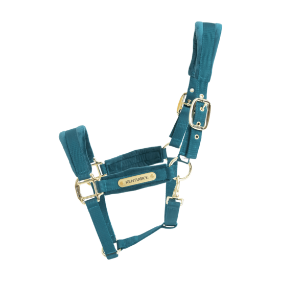  Kentucky Velvet halster Smaragd  MINI SHETTY 