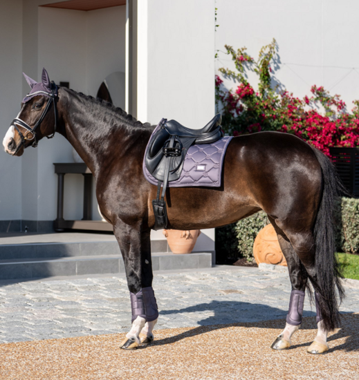 Equestrian Stockholm Mesh peesbeschermers  Dark Violet 