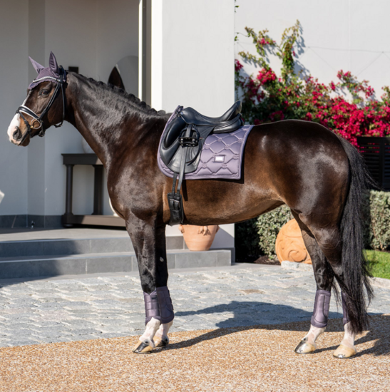 Equestrian Stockholm zadeldek  dressuur Dark Violet 