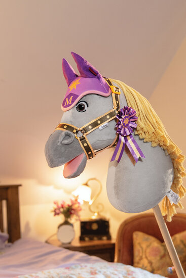 Le Mieux Hobby horse Disney Maximus