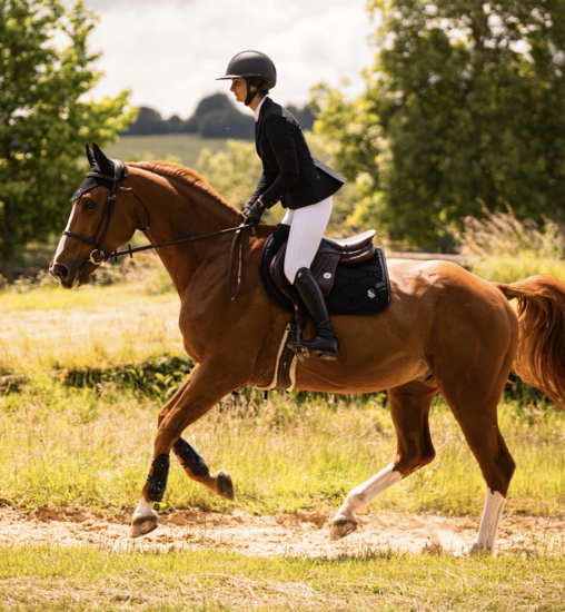 Samshield vliegenoortje 