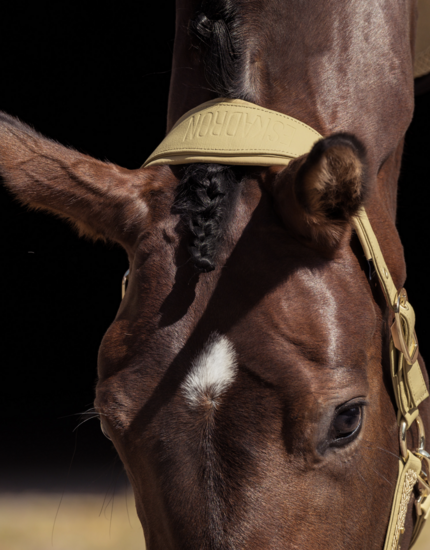  Eskadron Heritage '25 Halster FAUX LEATHER Cardamom