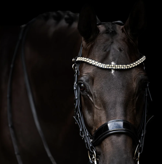 Presteq anatomisch stang &amp; trens hoofdstel FayPerform Shine lakleder - zwart 