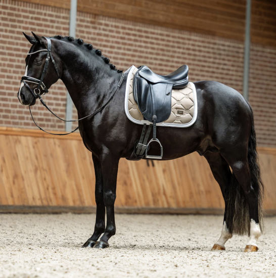 Equestrian Stockholm zadeldek dressuur CLASSIC Sand