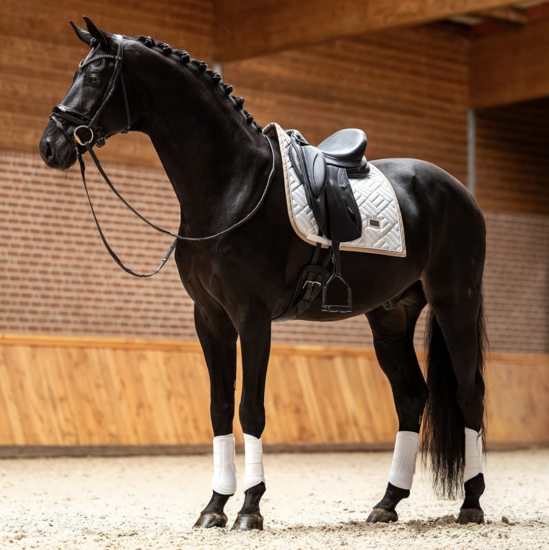 Equestrian Stockholm zadeldek dressuur Modern white - Sand