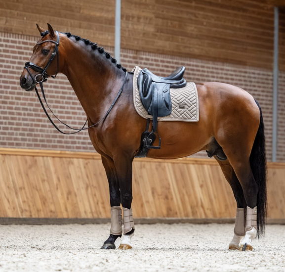 Equestrian Stockholm zadeldek dressuur Modern Sand