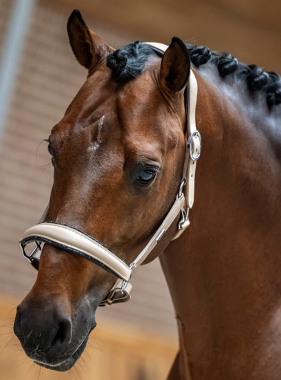  Equestrian Stockholm anatomisch LEREN GLIMMER Halster Sand