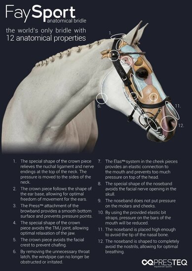 Presteq anatomisch Hoofdstel FaySport Glitter lakleder Zwart 