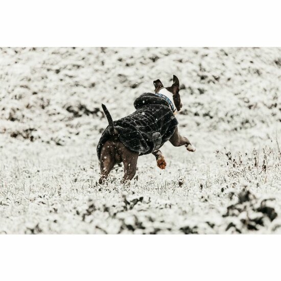 Kentucky fake fur hondenjas 