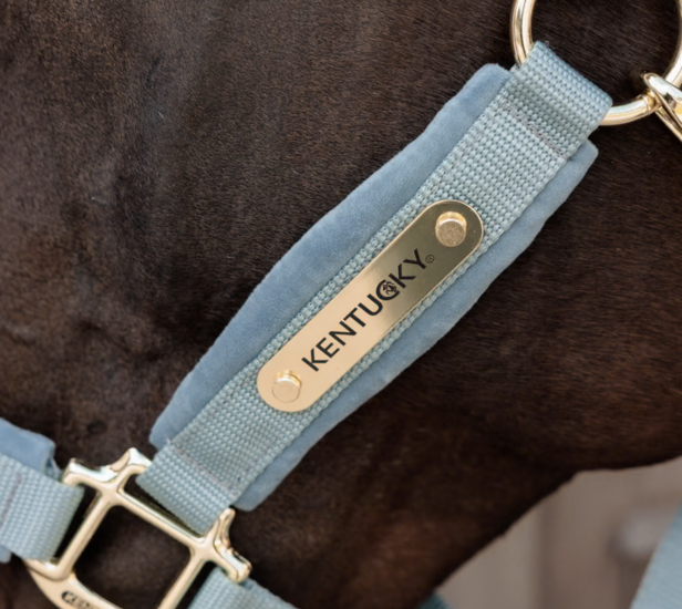 Kentucky Velvet halster lichtblauw