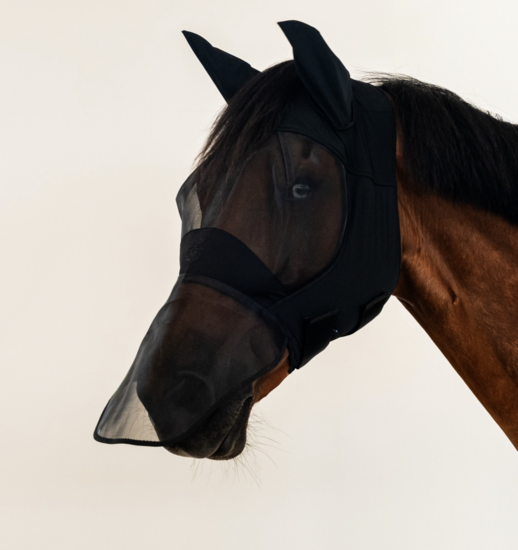 Cavalleria Toscane  fly mask