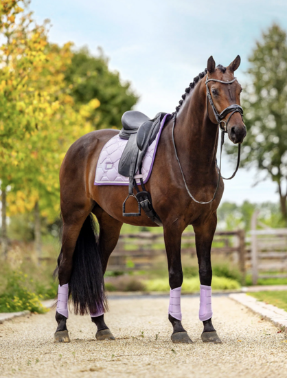 Equestrian Stockholm Lavender Dressuur 