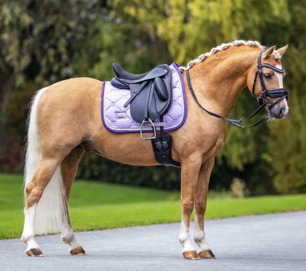 Equestrian Stockholm Lavender Dressuur 