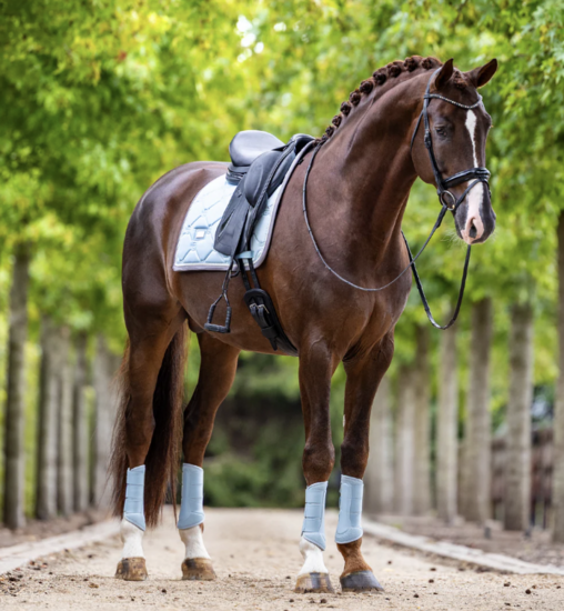 Equestrian Stockholm Ice Blue dressuur zadeldek 