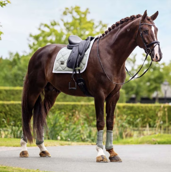 Equestrian Stockholm pistachio White  Dressuur 