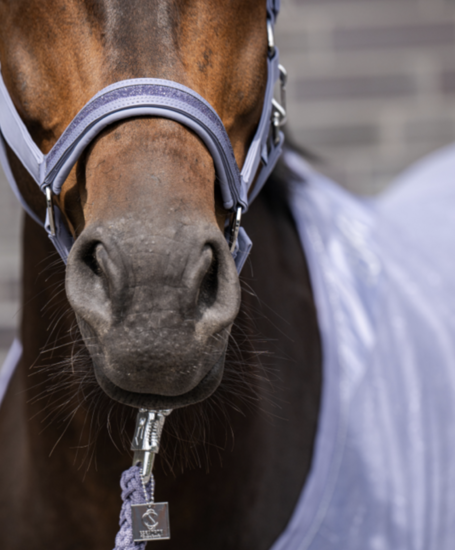  Eskadron halster Softshell Jewel classic Orchid