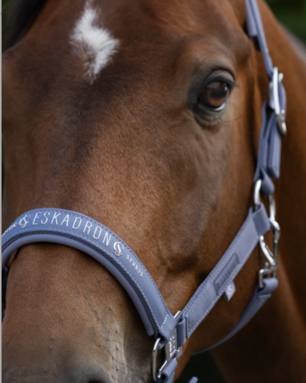 Eskadron classic 26 halster Sparkle Double Pin Orchid