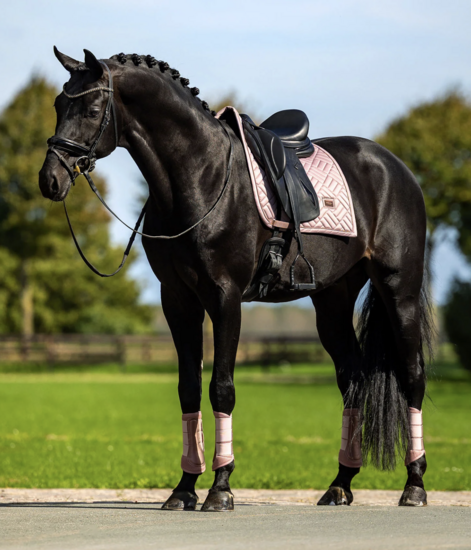 Equestrian Stockholm zadeldek Modern Midsummer Blush  Dressuur 