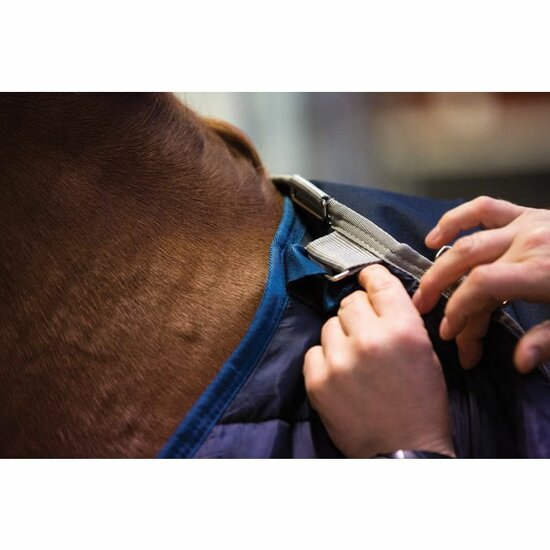 Horseware Liner 100gr