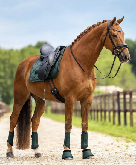 Equestrian Stockholm zadeldek dressuur Satin Sycamore Green