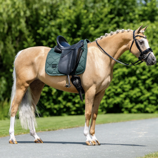 Equestrian Stockholm zadeldek dressuur Satin Sycamore Green