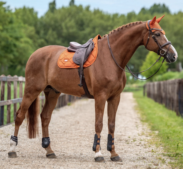  Equestrian Stockholm  oornetje - Satin - Chestnut