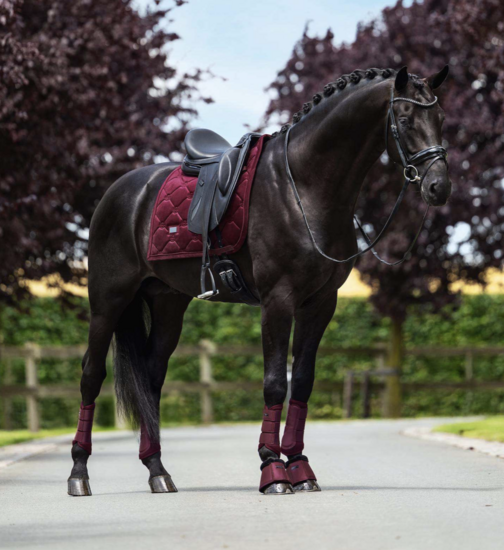 Equestrian Stockholm zadeldek dressuur Velvet Merlot