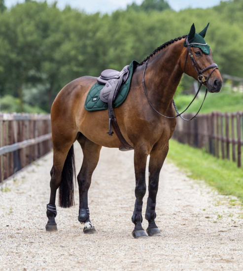 Equestrian Stockholm zadeldek dressuur Velvet Sycamore Green