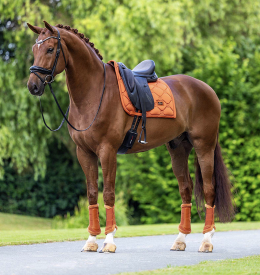 Equestrian Stockholm zadeldek dressuur Velvet Chestnut