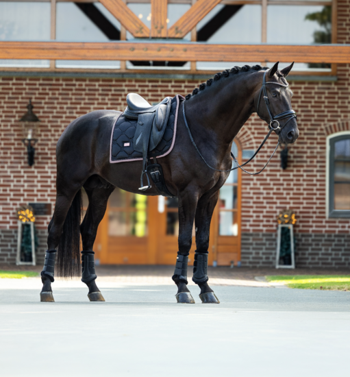 Equestrian Stockholm black blush  Dressuur 