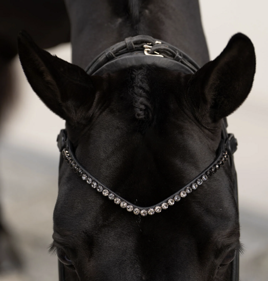 Equestrian Stockholm frontriem zwart  8 mm 