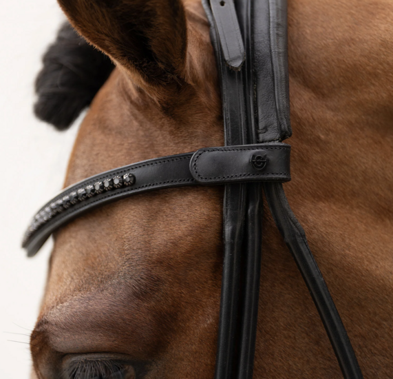 Equestrian Stockholm frontriem zwart 6 mm full