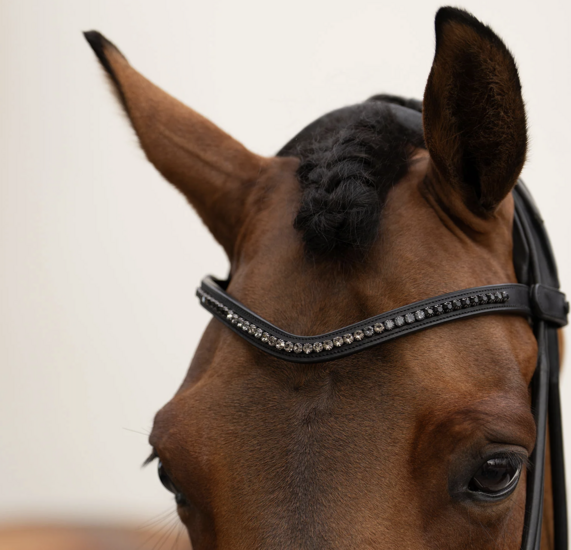 Equestrian Stockholm frontriem zwart 6 mm full