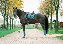 Equestrian Stockholm bandages Emerald