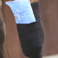 Kentucky tendon grip kous 