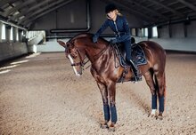  Equestrian Stockholm bandages Midnight blue 