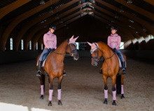 Equestrian Stockholm Bandages Pink Crystal