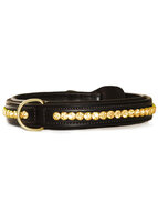 Equestrian Stockholm hond halsband Pure Gold