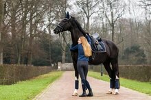 Equestrian Stockholm Royal Classic Dressage