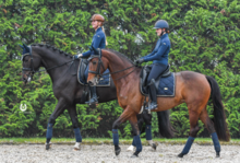Equestrian Stockholm Royal Classic Dressage