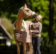 Equestrian Stockholm Halster  en touw Champagne 